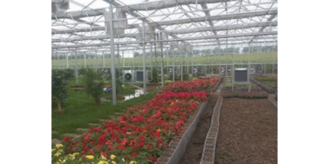 谷城特色農業信息咨詢服務 賦能鄉村振興，創造產業輝煌