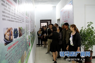 駐馬店市首個國家級'星創天地'在上蔡縣揭牌，助力農業信息咨詢與創新發展